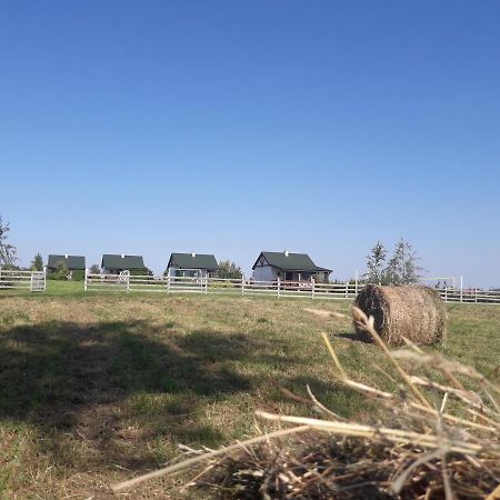 Letnisko Nad Jeziorem Skulsk Εξωτερικό φωτογραφία